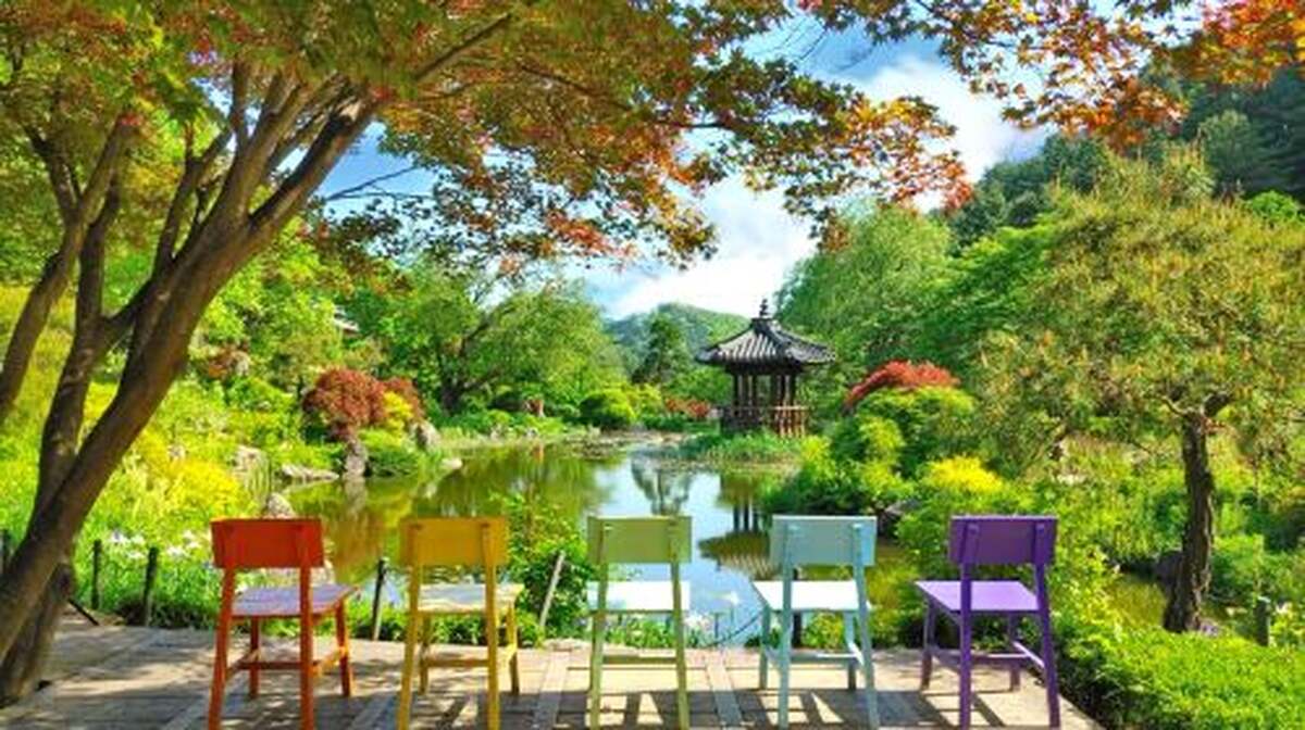 Gyeonggi Province|Nami Island X Gangchon Rail Bike X Morning Calm Arboretum Day Tours - Main Image