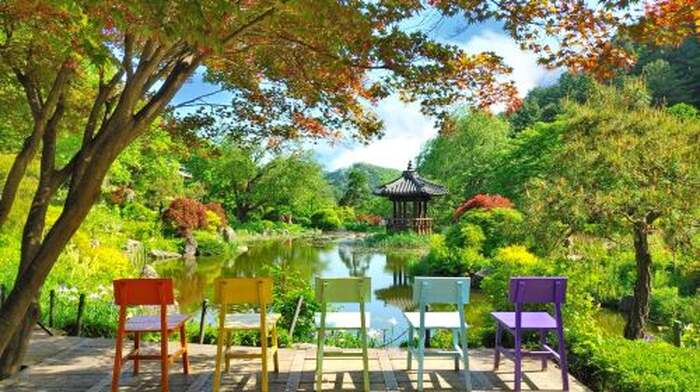 Gyeonggi Province|Nami Island X Gangchon Rail Bike X Morning Calm Arboretum Day Tours - Main Image