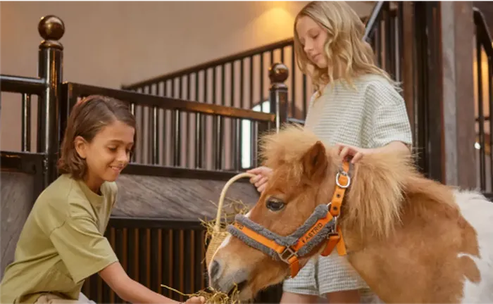 2f915661-ae08-4e6c-80c5-6761b82dce5c_alt