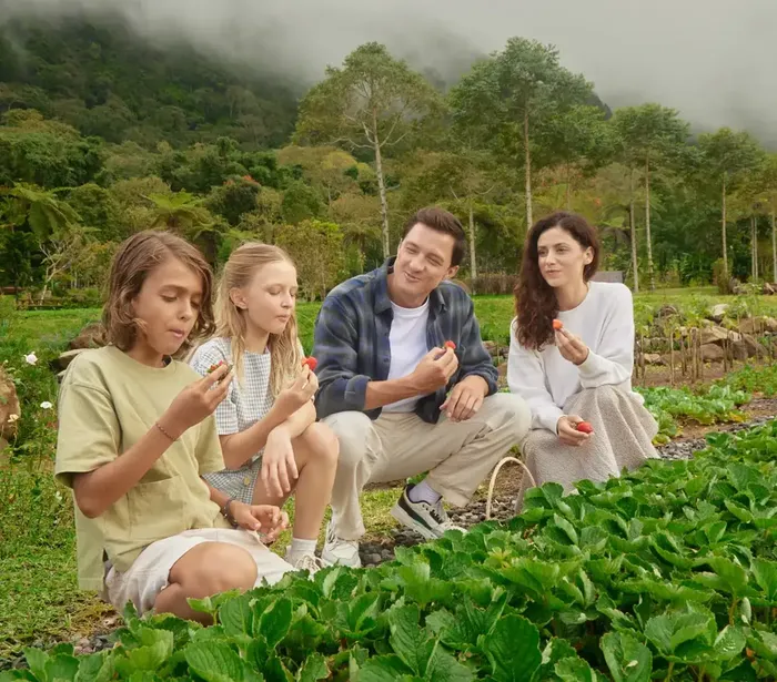 6a26a919-0ad1-4a01-8868-9557b28fef6a_alt