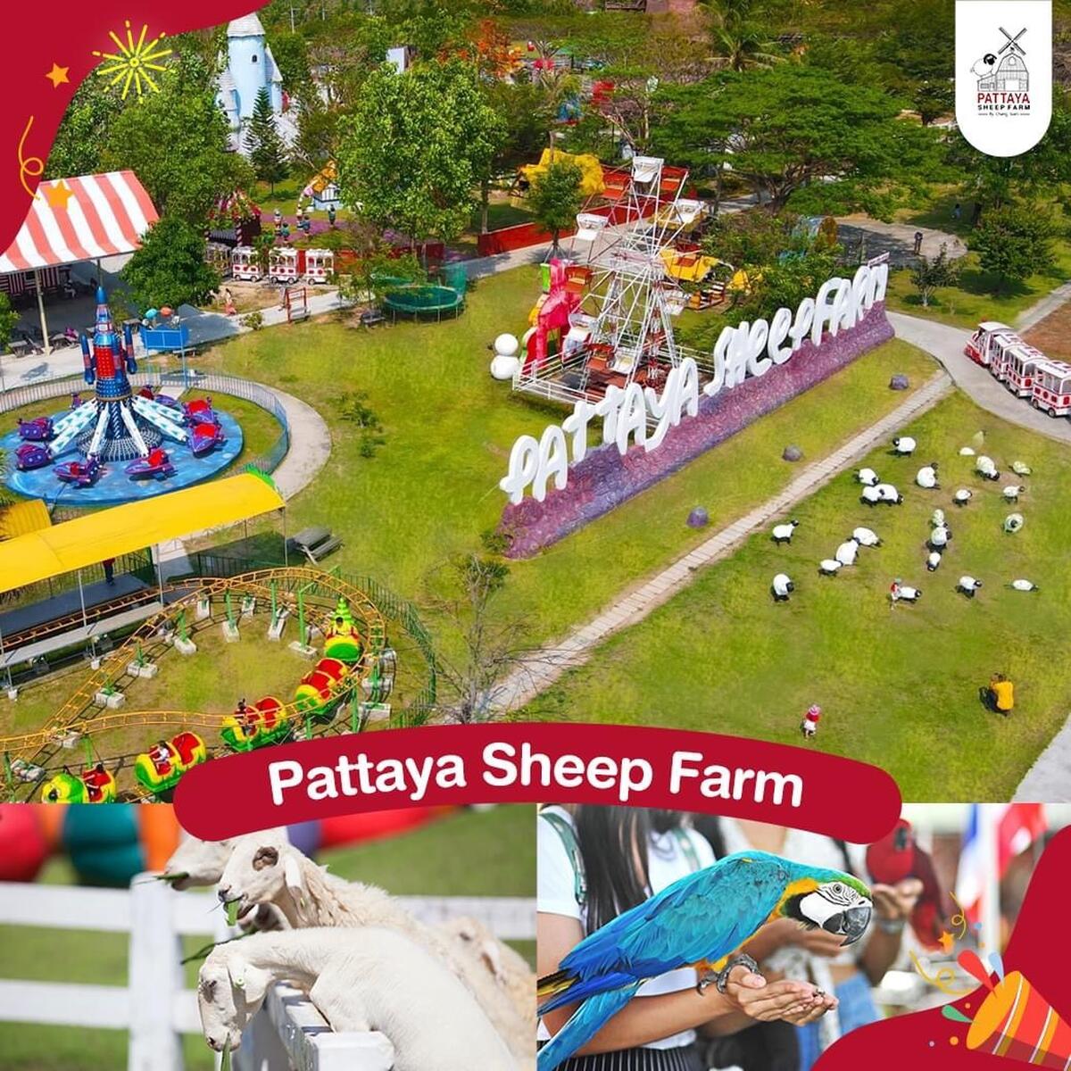 Family Park Pattaya Sheep Farm and Great & Grand Sweet Destination Pattaya - Main Image