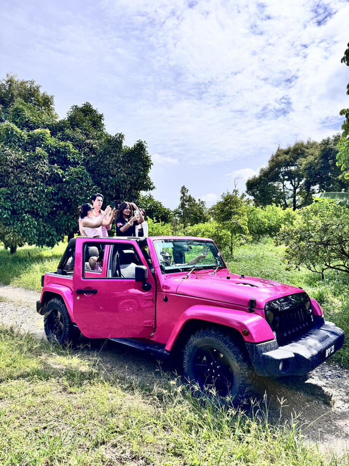 Desaru Fruit Farm - Jeep Riding tour - Main Image