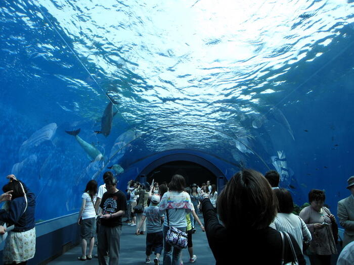 Yokohama Hakkeijima Sea Paradise - Main Image