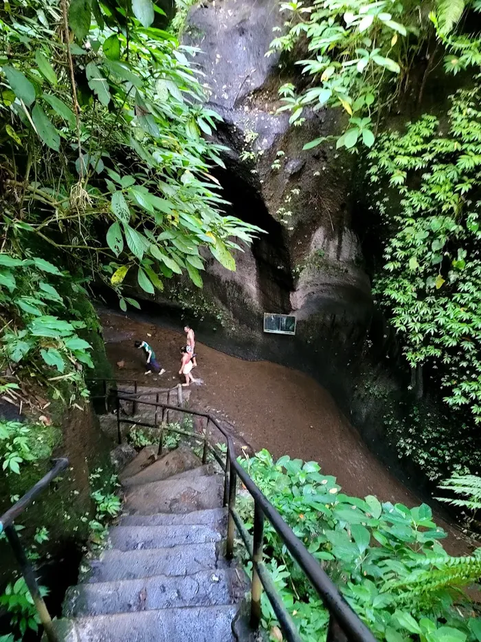 ec1c3d14-1e06-4932-9a78-8fca80dcef75_alt