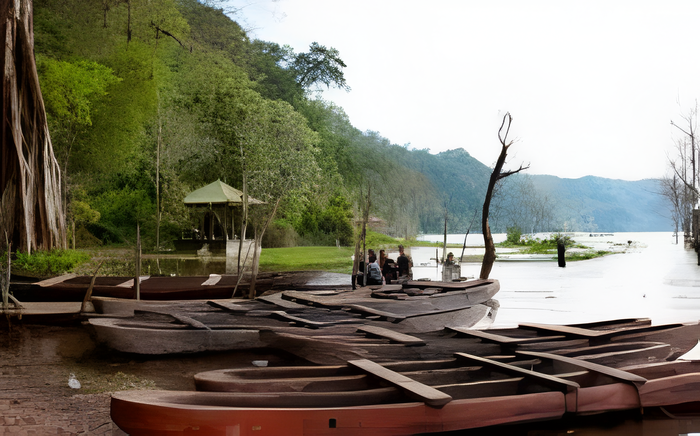 3cbb0fb3-53de-46f2-b25d-c75944e66ec3_alt