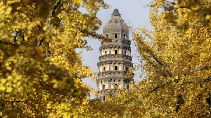 Suzhou City Highlights Day Tour|Humble Administrator's Garden, Tiger Hill, Lion Grove, Hanshan Temple Day Tours - Main Image
