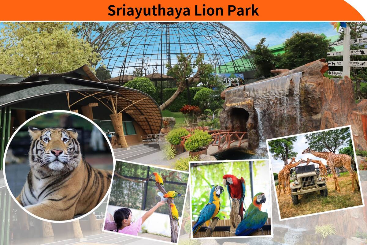 The Historic City Of Ayutthaya And Sriayuthaya Lion Park Day Tour - Main Image