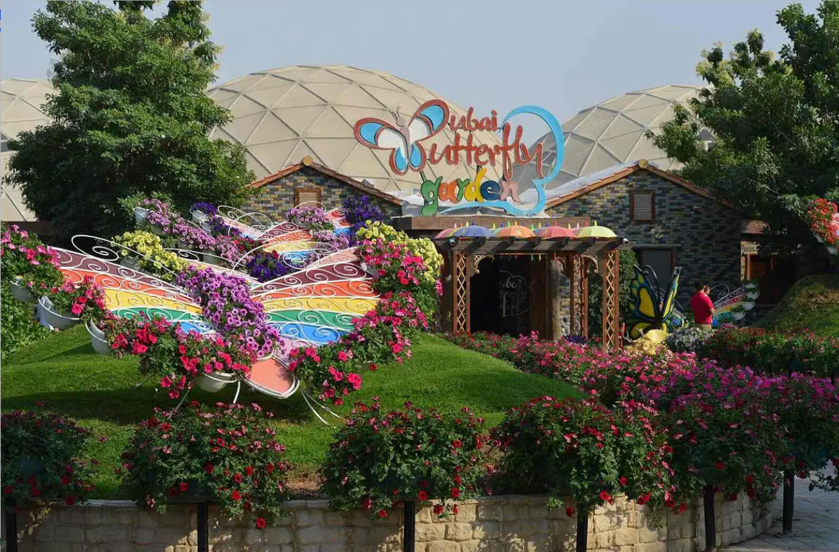 Butterfly Garden Dubai - Main Image