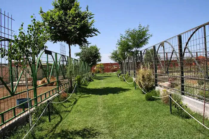 KOKI ZOO (Zoo and botanical) - Main Image