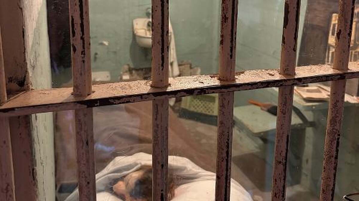Official Alcatraz Island Prison Tour and San Francisco Bay Cruise Day Tours - Main Image