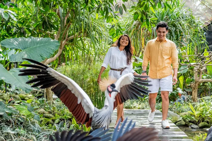 01ff1fc5-7574-4165-bc7e-6b53672ac4ce_alt