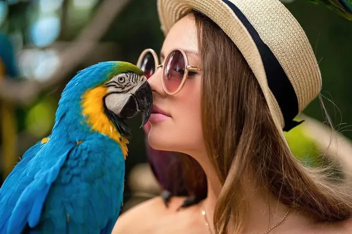 1b53760e-3465-4e73-b276-1067e3606cc4_alt