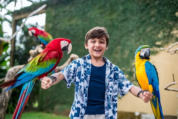 a5d57dc0-a155-4fea-99d3-353aaaa97bb8_alt