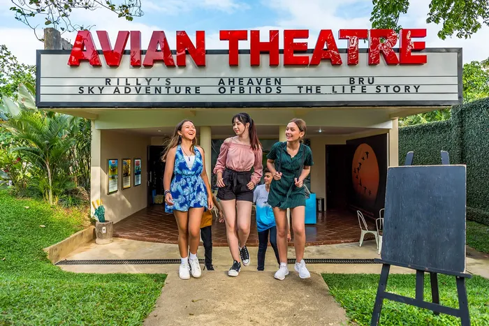 ae4463cc-cda7-4bc2-918f-7384a8c8af26_alt