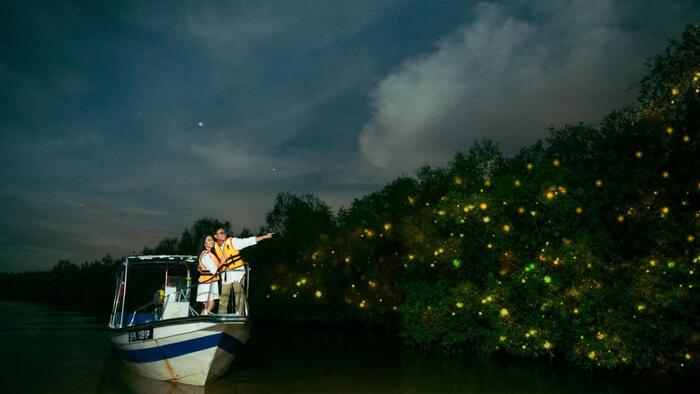 Fireflies Tour with Blue Tears Watching, Eagle Feeding and Seafood Dinner - Main Image
