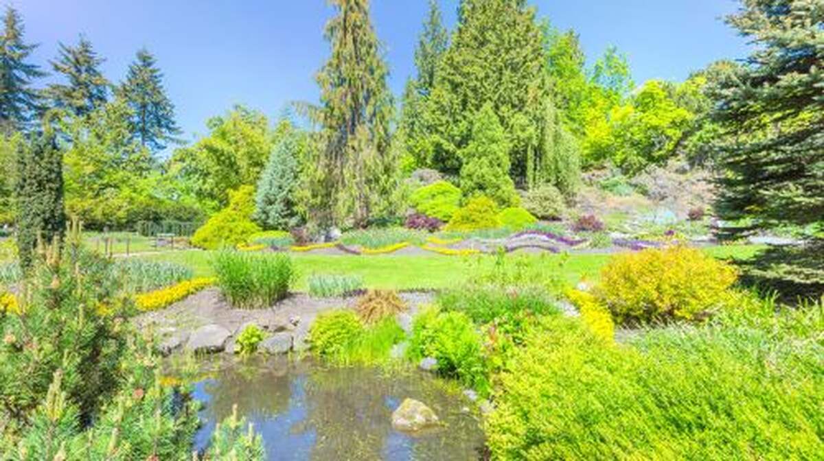 BEST Full-day Vancouver Canada Grand City Tour W/Granville Island Day Tours - Main Image