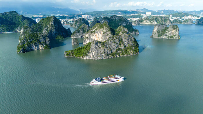 Dolphin Cruise - Ha Long Day tour & Dinner Cruise - Main Image