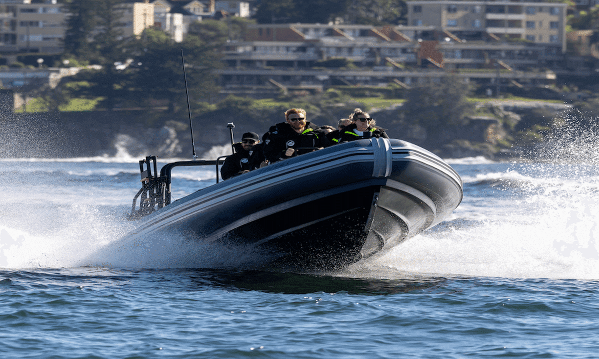 Sydney Whale Watching on Vessel ORCA - 2 Hours - Main Image