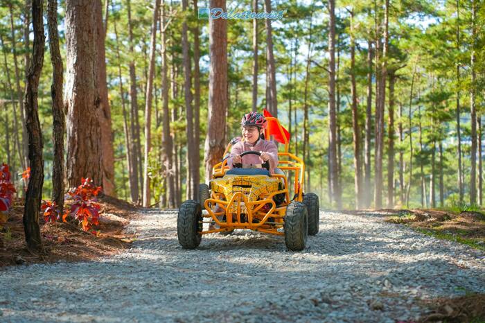 Datanla Electric Vehicle Service - Datanla Pine Karts - Main Image