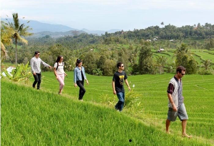 fd75747a-f6b4-4bdc-9b31-58fe1b17cbe3_alt