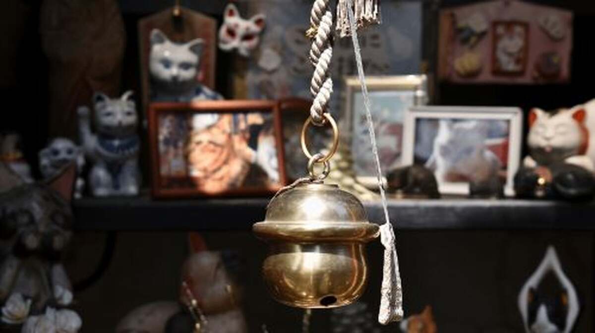 Yanaka & Ueno: Walking Tour of Tokyo Tradition & Culture Day Tours - Main Image