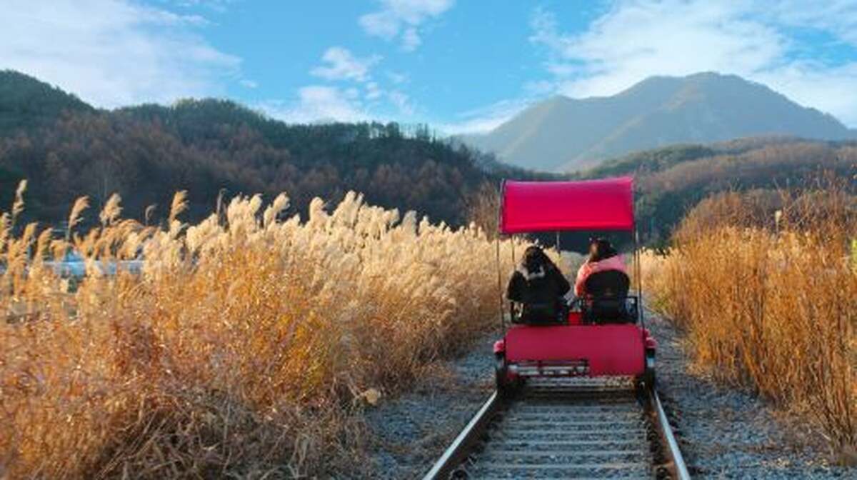 Nami Island X Chuncheon Samaksan Cable Car X Gapyeong Rail Bike Day Tours - Main Image