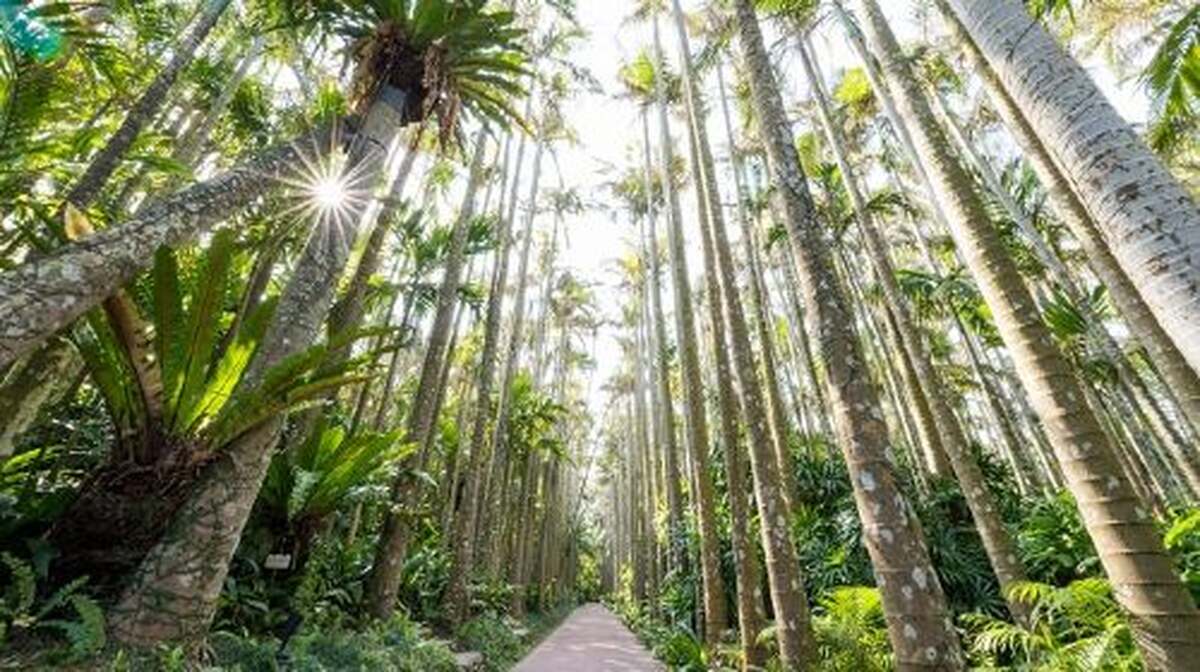 Southeast Botanical Gardens - Main Image