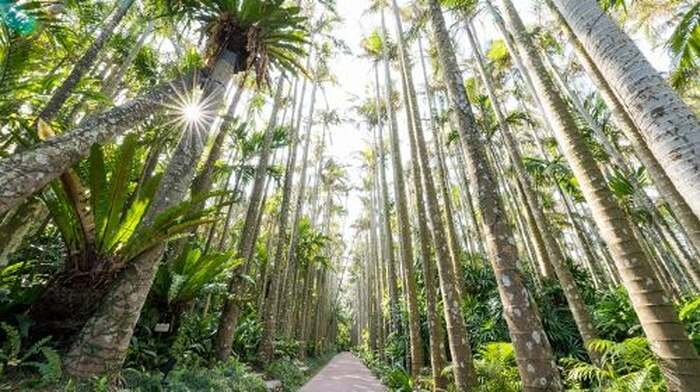 Southeast Botanical Gardens - Main Image