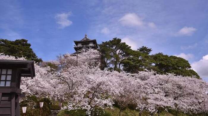 Fukui: Maruoka Castle Admission Ticket Day Tours - Main Image