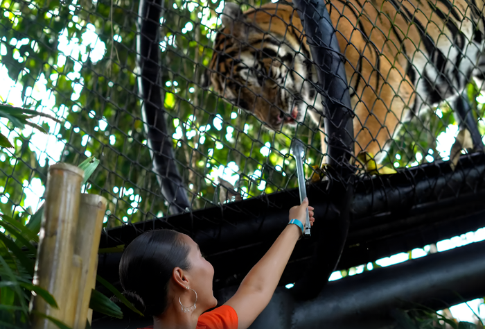 37acc2fb-bff4-488a-953b-59a44164567b_alt