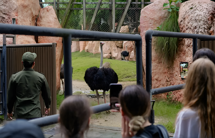 99bdd9b9-c8b4-495c-9847-d7b15f170bd0_alt