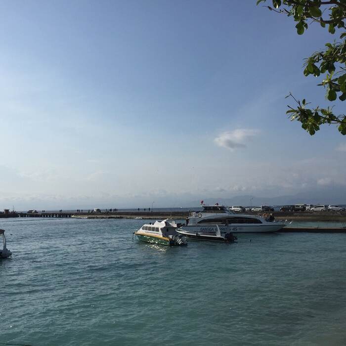 7707ee07-ded6-4403-b5f1-4364f04e1dfd_alt