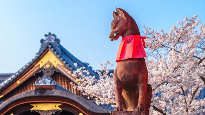 1-day tour to Kyoto Fushimi Inari Taisha + ancient temples in Kyoto Day Tours - Main Image