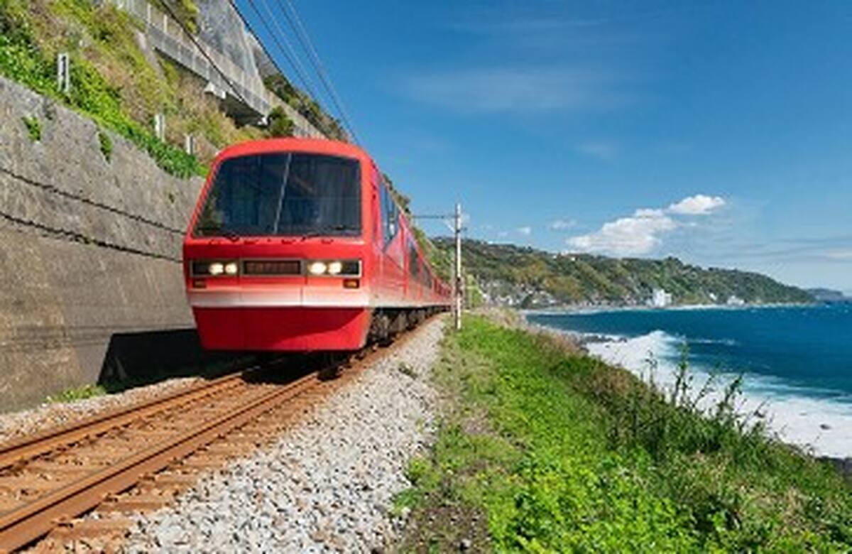 Izu Jogasaki Coast, Mt. Omuro, and Sea View Train Small Group Day Tour | Tokyo - Main Image