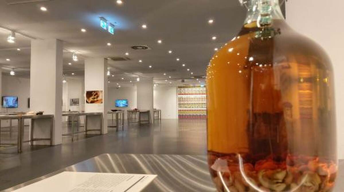 Disgusting Food Museum Berlin - Main Image