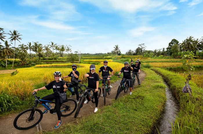 63552f3f-8e0a-4566-9953-9179e327ad73_alt