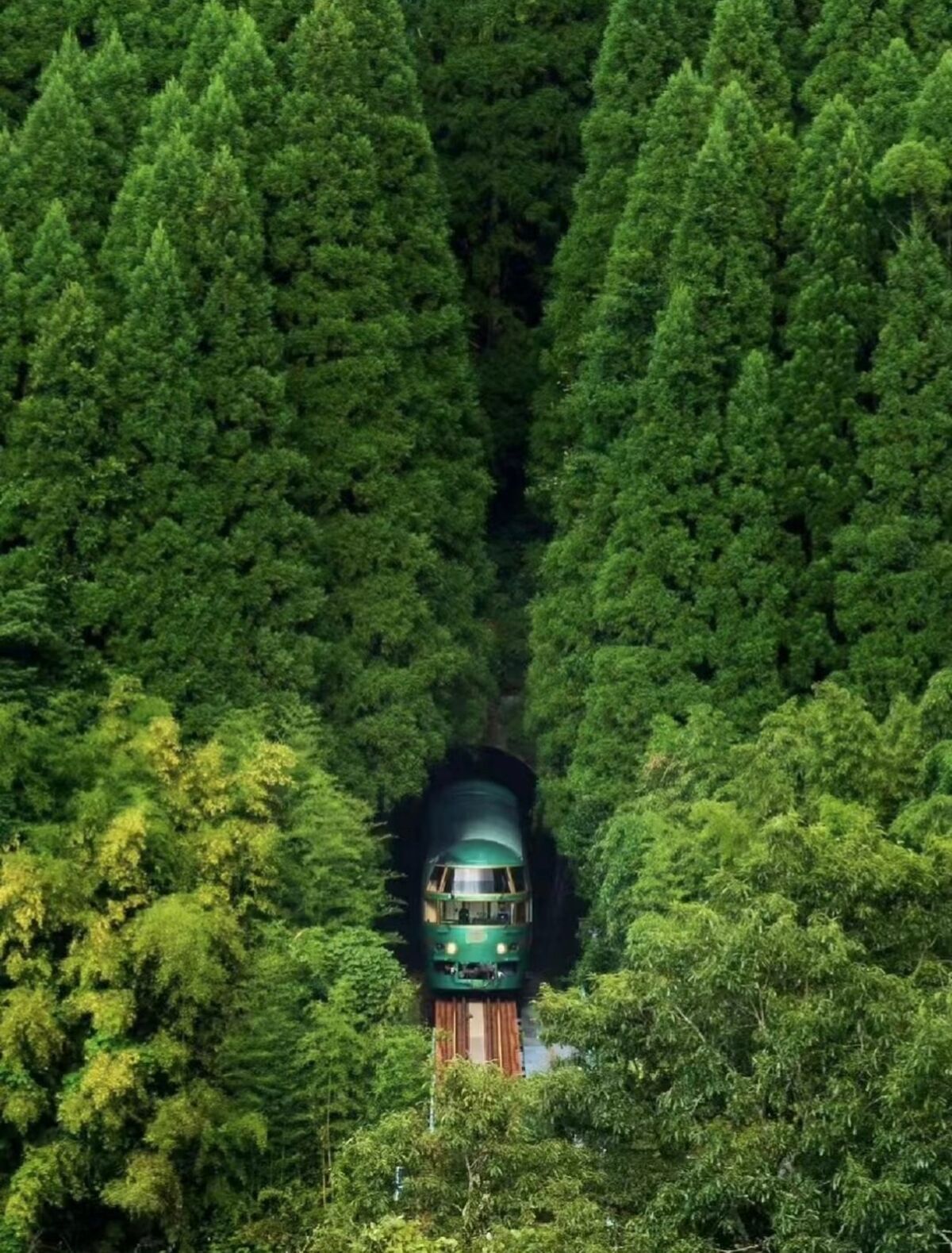 Kyushu-Oita Itinerary: Dazaifu Tenmangu Shrine & Beppu Ropeway & Yufuin | Fukuoka - Main Image