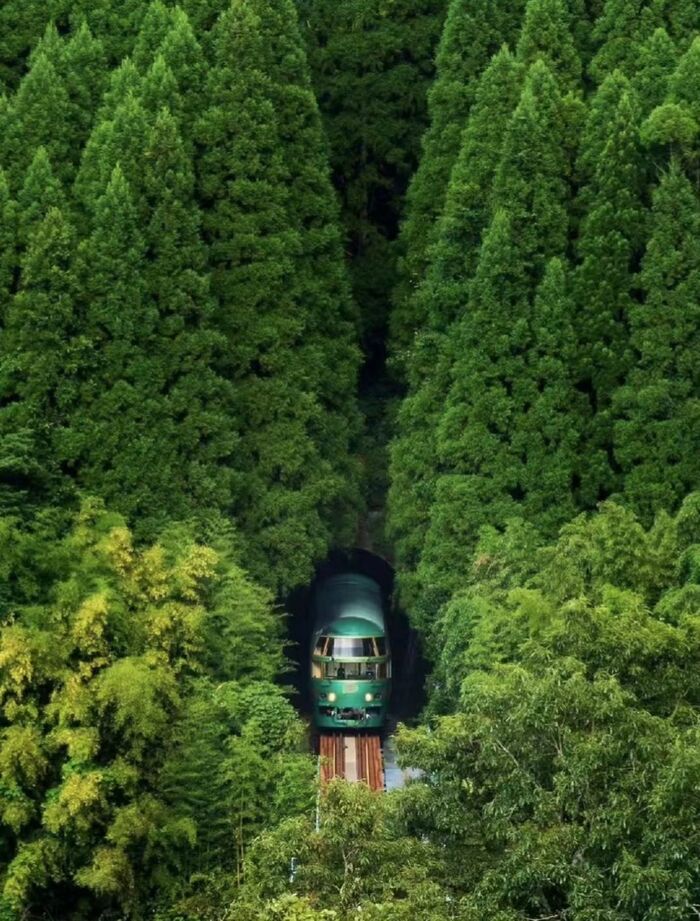 Kyushu-Oita Itinerary: Dazaifu Tenmangu Shrine & Beppu Ropeway & Yufuin | Fukuoka - Main Image