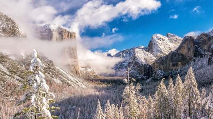 United States Yosemite National Park + Giant Sequoia hiking 1-day tour [departing from San Francisco | foreign language guide] Day Tours