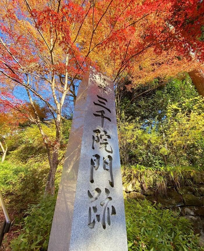 Kyoto Kifune Shrine Arashiyama Sanzen-in Temple Day Trip - Main Image