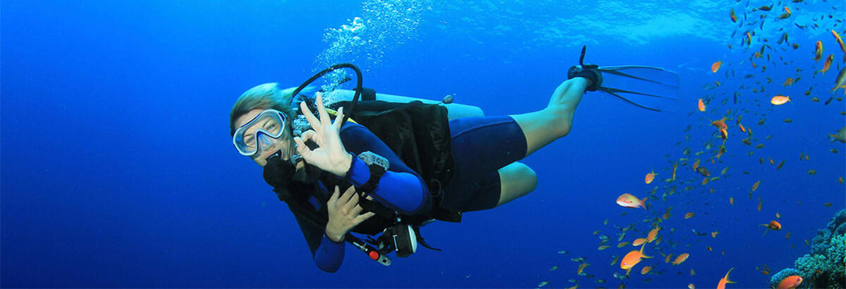 Scuba Diving Tour - Main Image