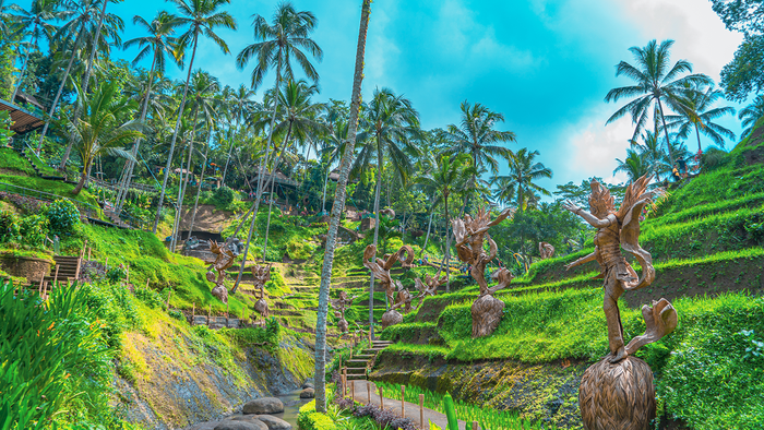 Alas Harum Rides & Attraction Packages