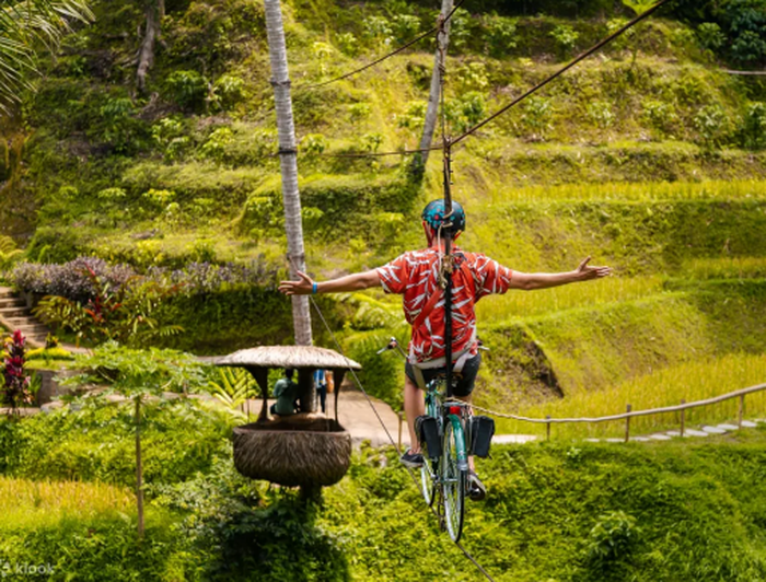 0eb3883e-aa0a-4a49-a7cb-3a54541547cf_alt