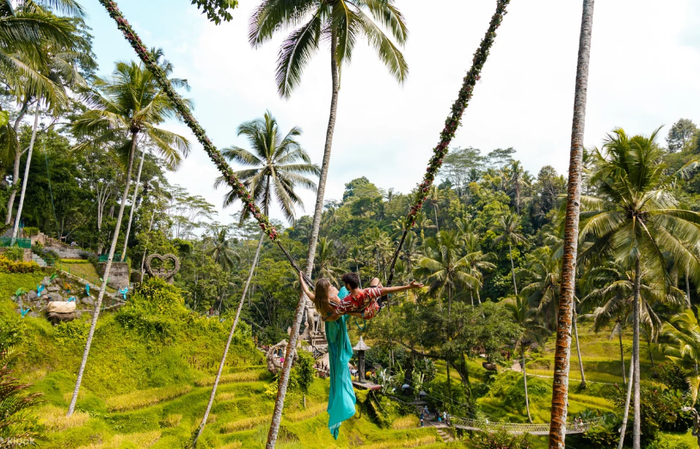 bdbfaa72-56f8-44c6-a698-2b785ae337a1_alt