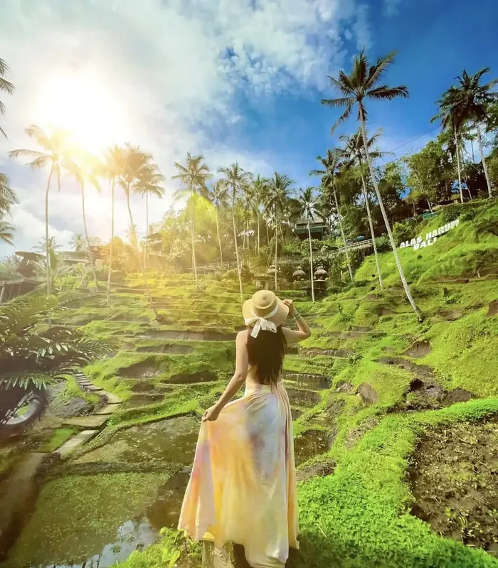 a340b315-8a55-4924-9d53-6c9d3e1f9e96_alt