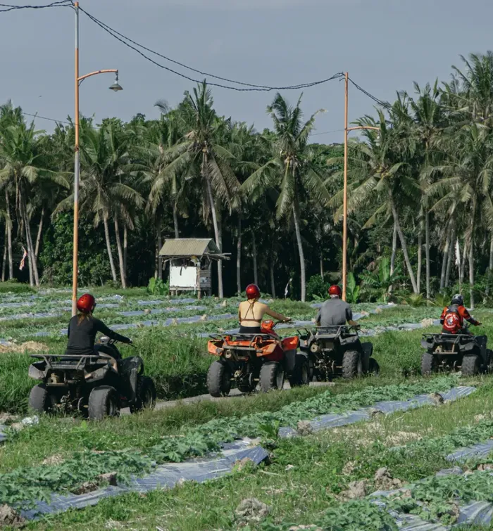 09956a3c-137f-411b-9c8f-ac8246e442d2_alt