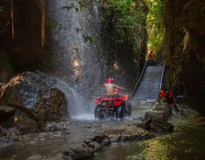 3d94e187-0f2d-4d25-99a5-45f33092e3c0_alt