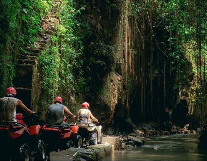 458d8698-5fe7-4da8-b223-77e7d35f3d01_alt