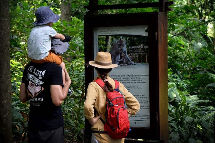 Sacred Monkey Forest Sanctuary Ubud 