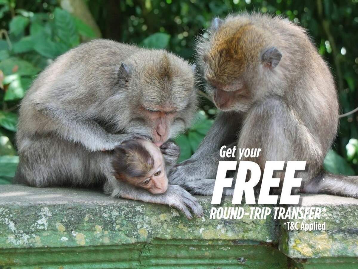 b69dfdd5-3859-4f3d-b8ef-3d76d5cc150d_alt